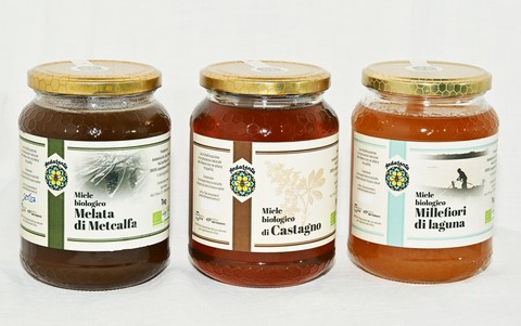Miele d'acacia