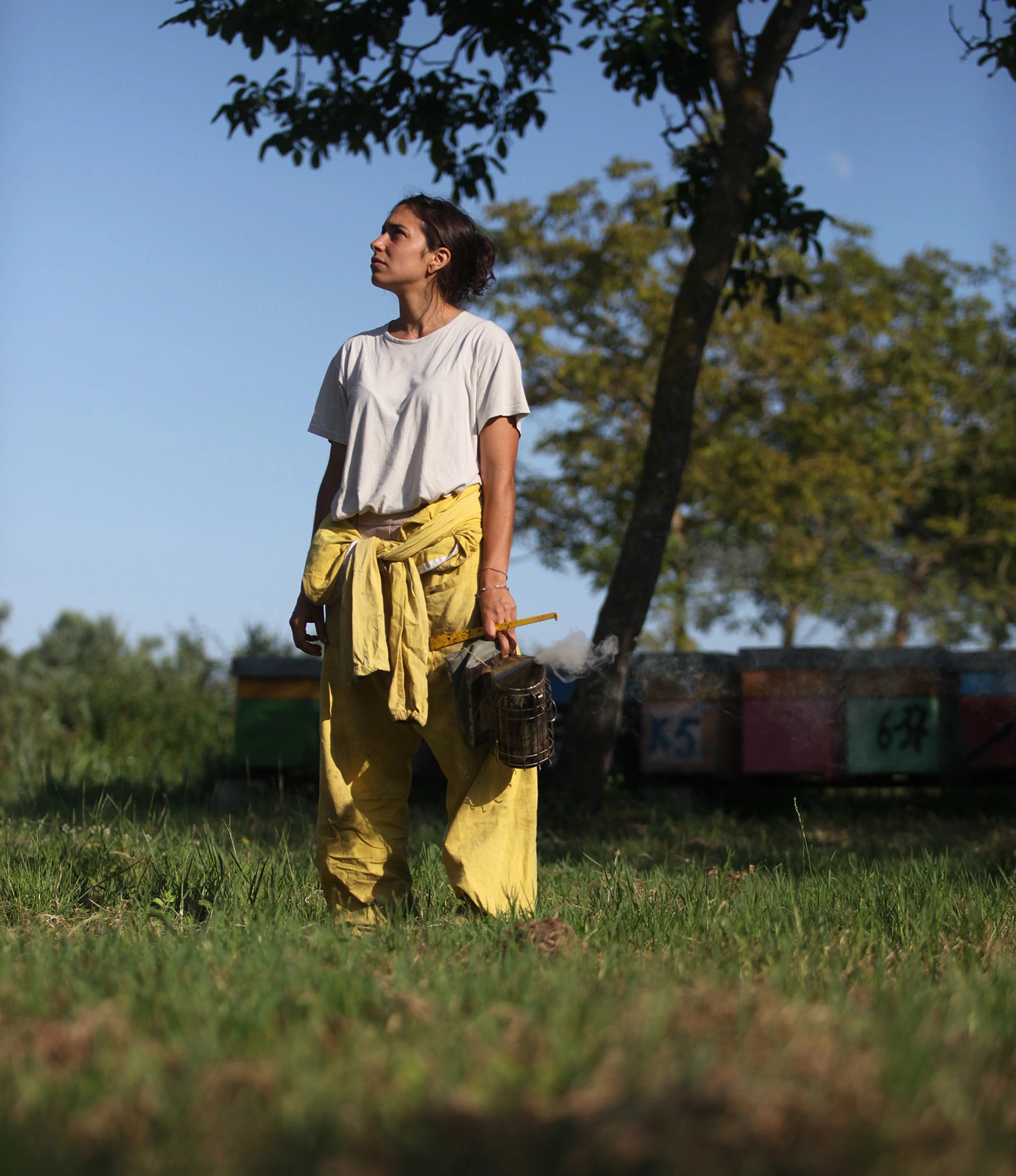 apicoltore andalenta