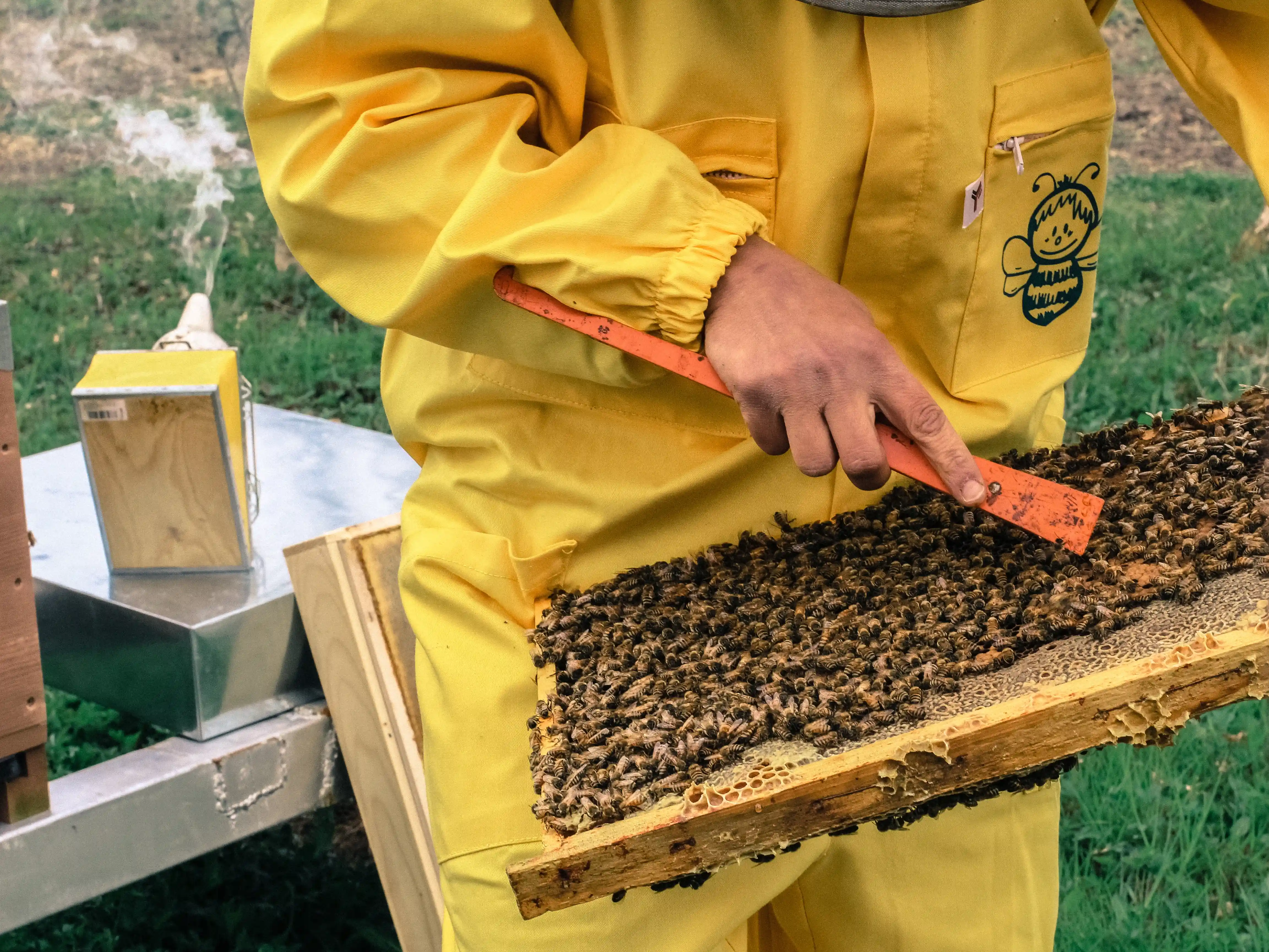 apicoltore andalenta